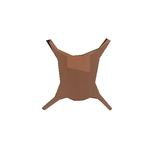 Fur Rug