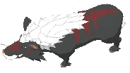 Elder Scrofa