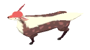 Female Cervus