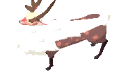 Cervus
