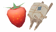 Exquisite Berry Package