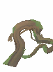 Ancient Root