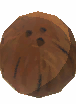 Fallen Coconuts