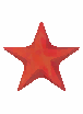 Common Starfish