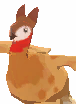 Content Sagi Bird