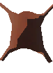 Simple Dried Pelt