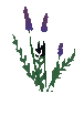 Flawless Flower