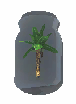 Banana Soda
