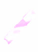 Hexite Wood Fragment