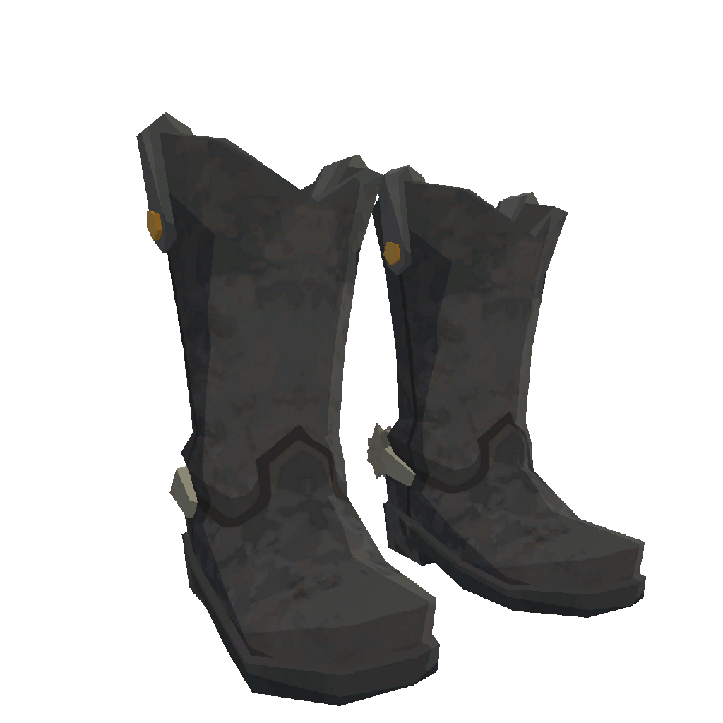 Wrangler Outlaw's Boots