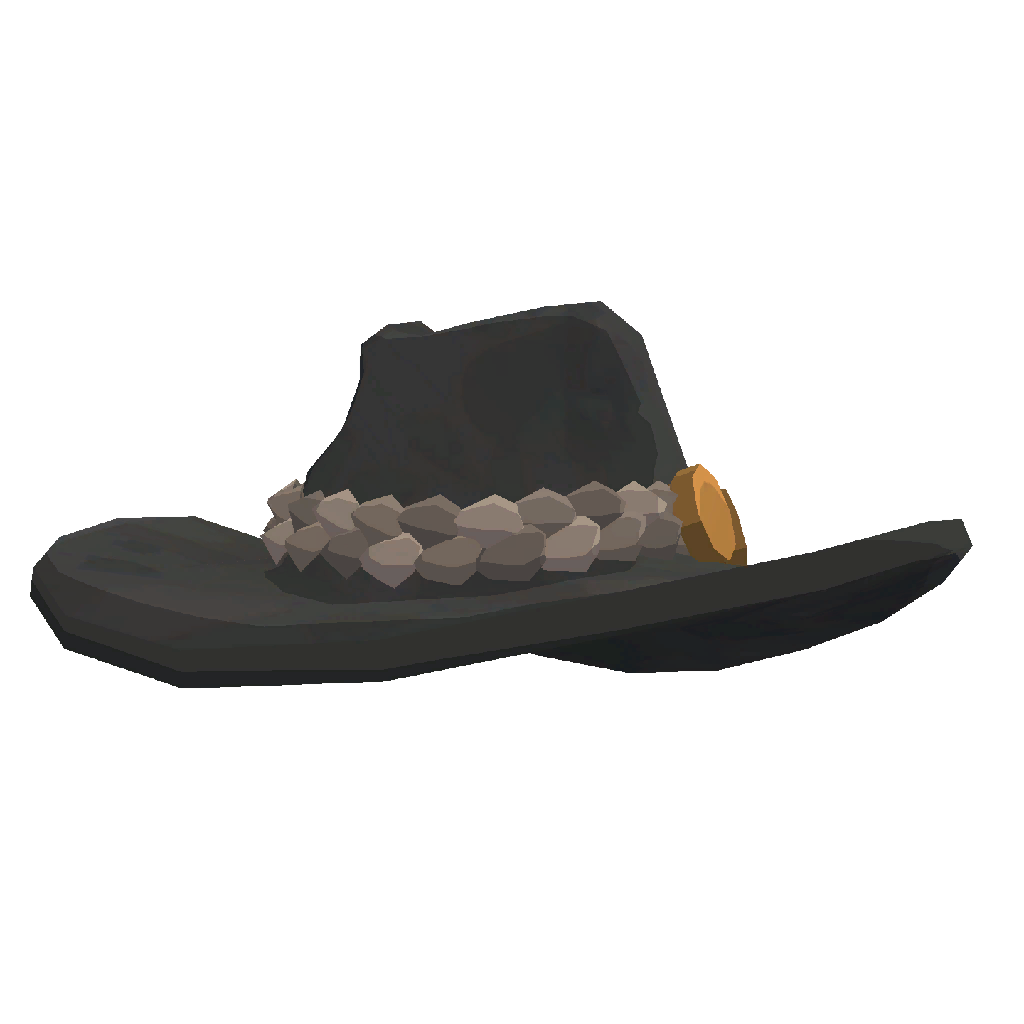 Wrangler Outlaw's Hat