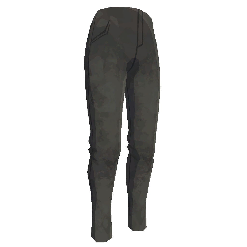 Wrangler Outlaw's Pants