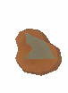 Oyster Meat