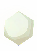 Oyster Pearl