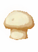 Preserved Mushroom