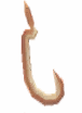 Pyrelite Fishing Hook Knowledge