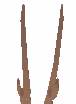 Rangifer Antler
