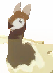 Dromai