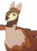 Deed: Pet Grass Sagi Bird