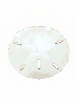 Small Sanddollar