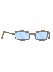 Ancient Reading Glasses