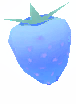 Maker's Sailing Fruit
