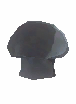 Unidentified Simple Mushroom