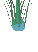 Simple Starbulb Plant