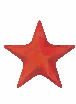 Vibrant Starfish Display