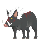 Elder Scrofa