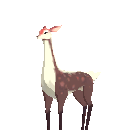 Female Cervus