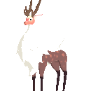 Cervus (I)