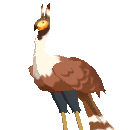 Ardea