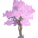 Blossom Tree