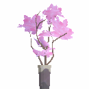 Blossom Branch