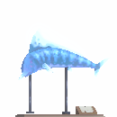 Varkel Fish Display