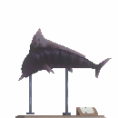 Velgrim Fish Display
