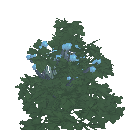Cloudberry Bush