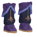 Professional Scholar's Shoes