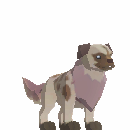 Deed: Alpha Jakyl Puppy