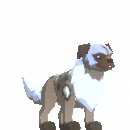 King Jakyl Puppy