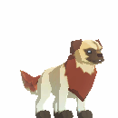Jakyl Puppy