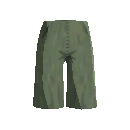 Well Made Long Shorts - Green