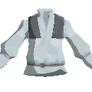 Elegant Shirt