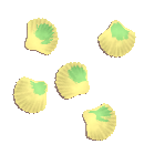Crystal Shell Scallop