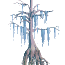 Ancient Cypress Tree