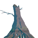 Dead Cypress Tree