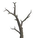 Dead Tree
