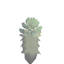 Planted Dendro Sapling