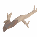 Driftwood
